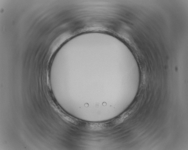 X0000062911274200602101823