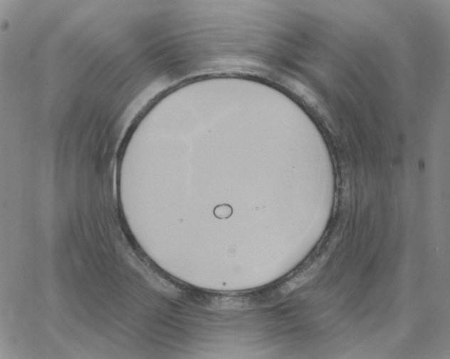 X0000062911275200602101823