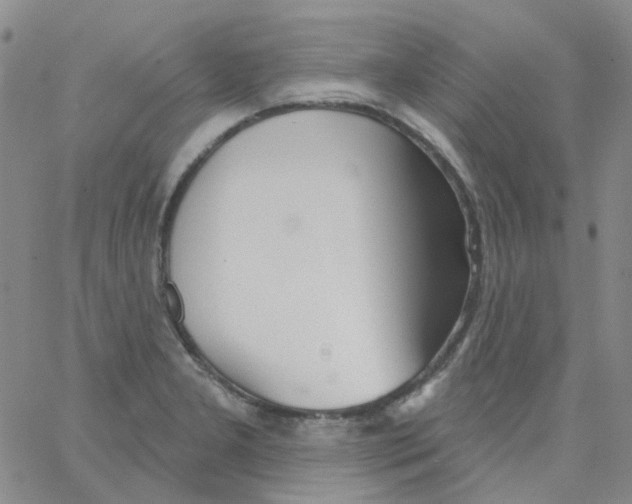 X0000062911277200602101823