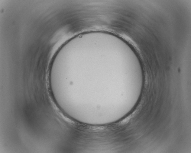 X0000062911278200602101823