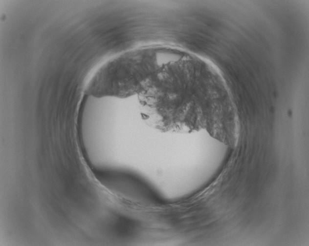 X0000062911279200602101823