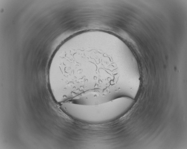 X0000062911280200602101823