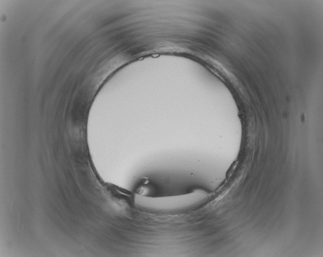 X0000062911281200602101823