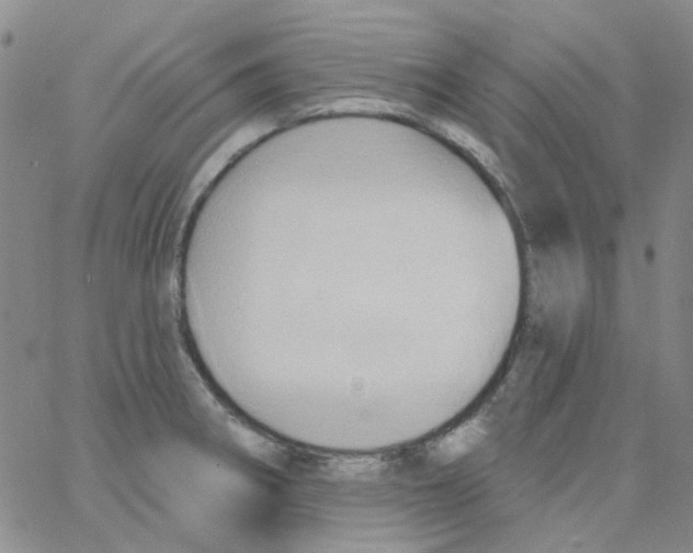 X0000062911282200602101823