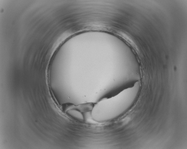 X0000062911283200602101823