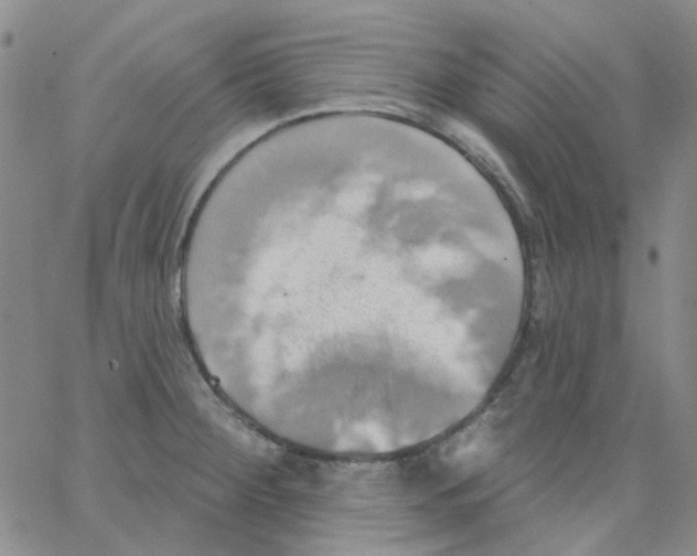 X0000062911284200602101823