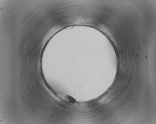 X0000062911285200602101823