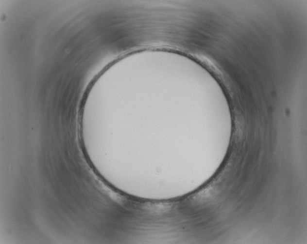 X0000062911286200602101823