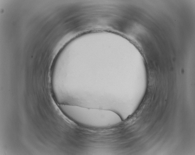 X0000062911287200602101823