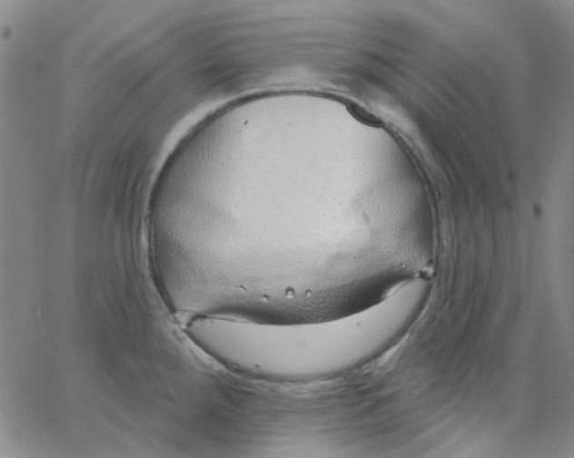 X0000062911288200602101823