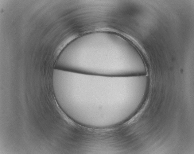 X0000062911289200602101823