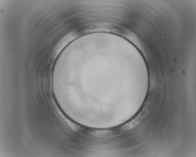 X0000062911290200602101823