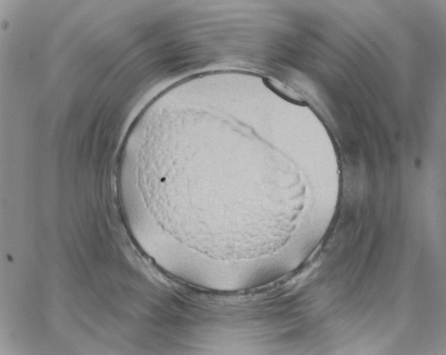 X0000062911292200602101823