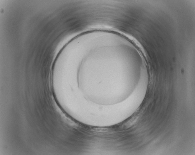 X0000062911295200602101822