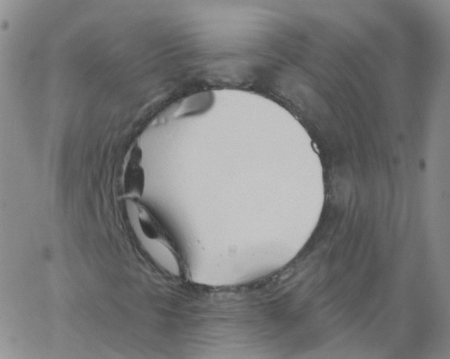 X0000062911297200602101822