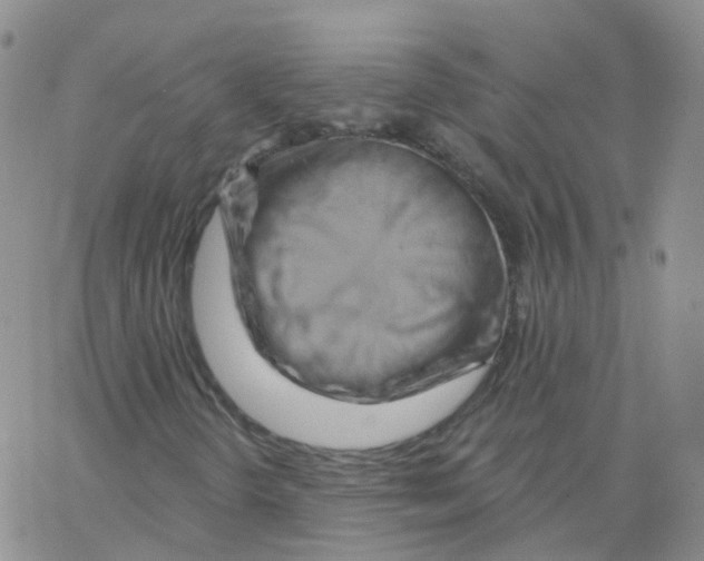 X0000062911298200602101822