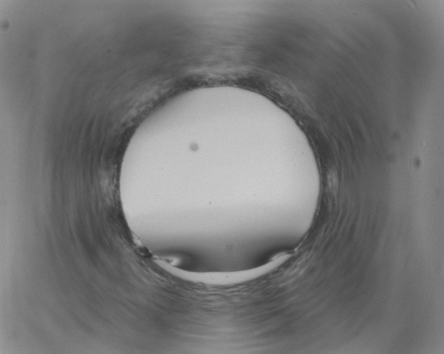 X0000062911300200602101822