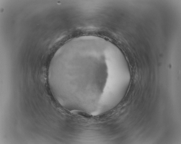 X0000062911301200602101822