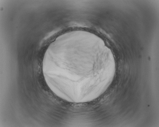 X0000062911303200602101822