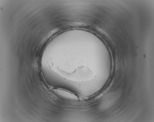 X0000062911305200602101822