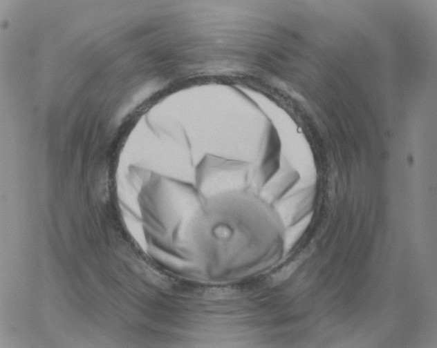 X0000062911306200602101822