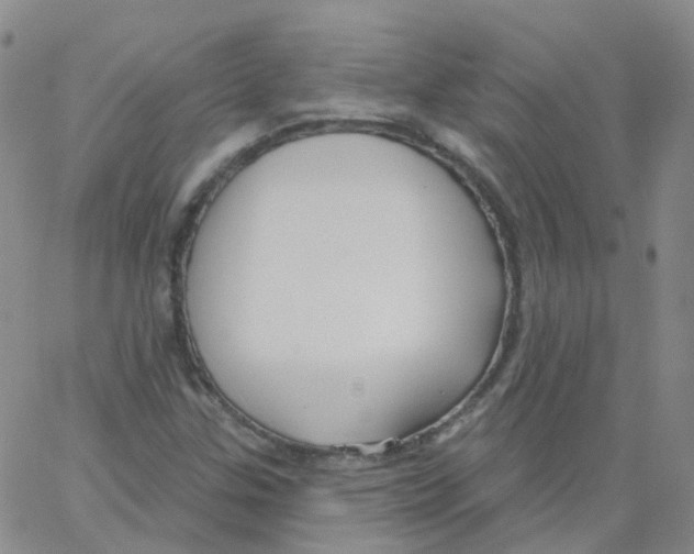 X0000062911307200602101822