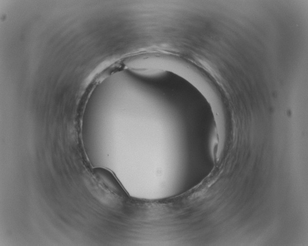 X0000062911308200602101822