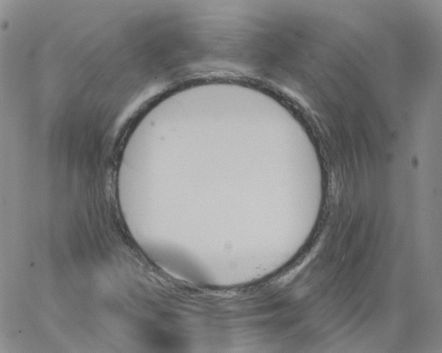 X0000062911309200602101822