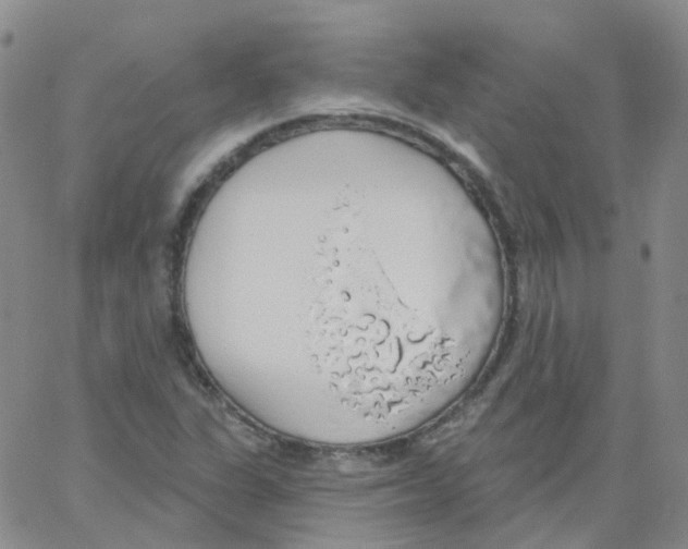 X0000062911311200602101822