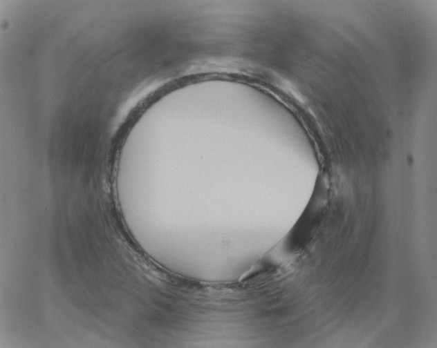 X0000062911312200602101822