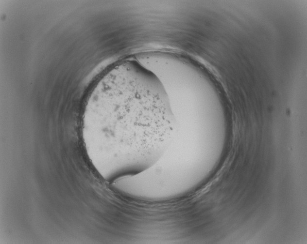 X0000062911314200602101822