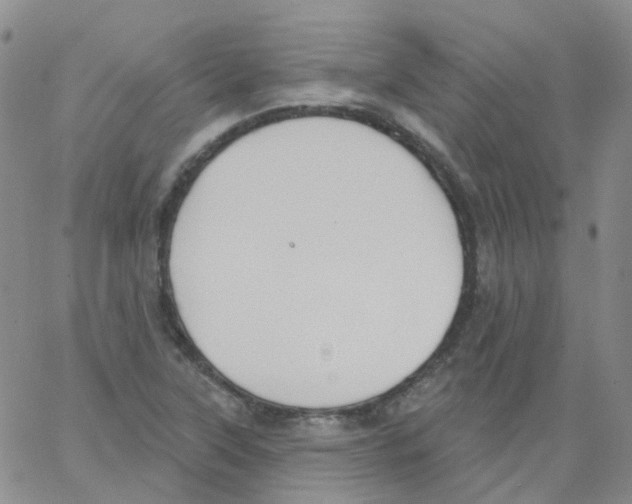 X0000062911315200602101822