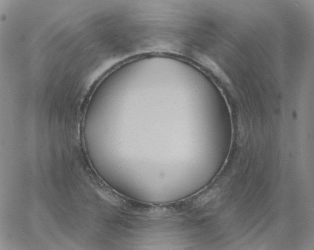 X0000062911316200602101822