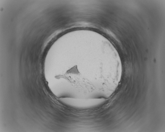 X0000062911318200602101822