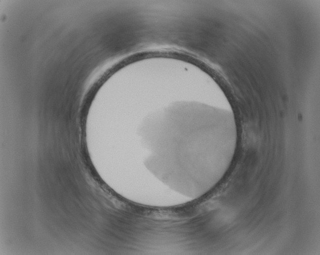 X0000062911319200602101822