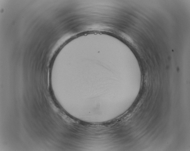 X0000062911323200602101822