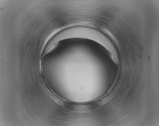 X0000062911324200602101822