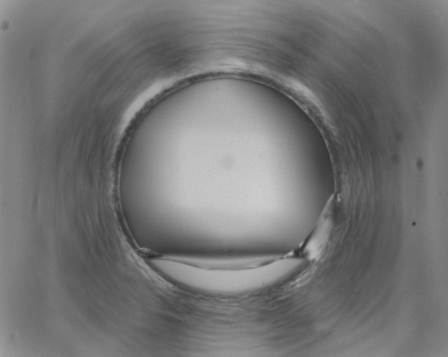 X0000062911326200602101822