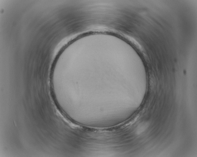 X0000062911327200602101822