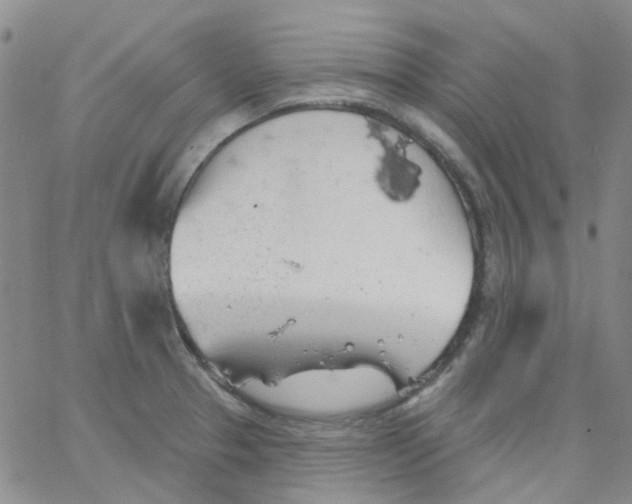 X0000062911329200602101822