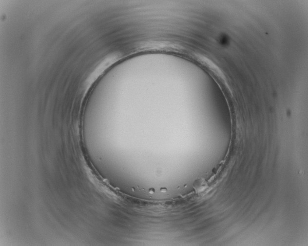 X0000062911330200602101822