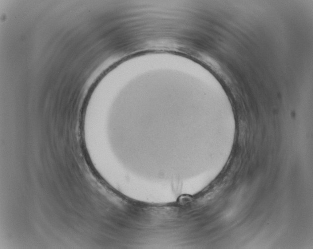 X0000062911331200602101822