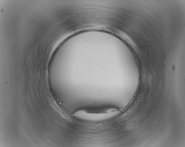 X0000062911332200602101822