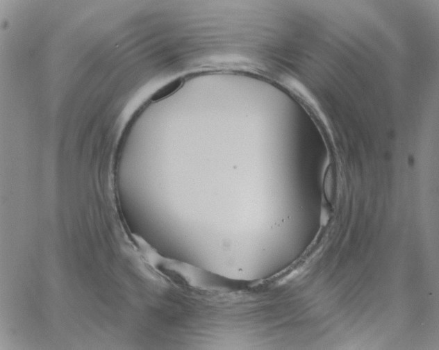 X0000062911336200602101822