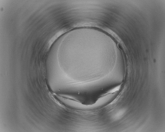 X0000062911337200602101822