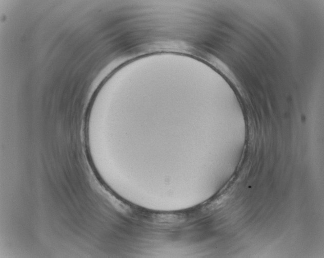 X0000062911339200602101822