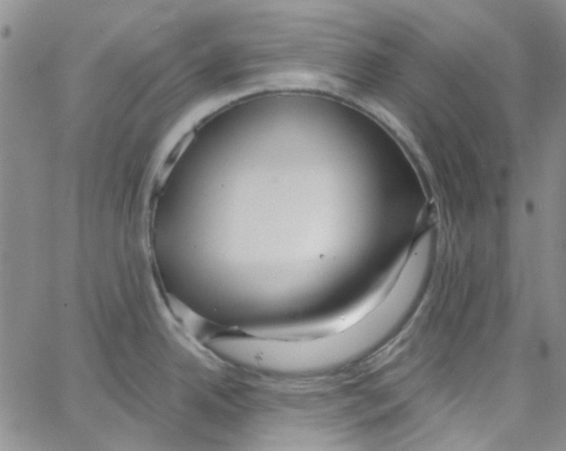 X0000062911342200602101822