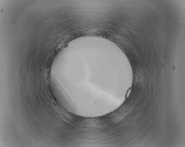 X0000062911346200602101822