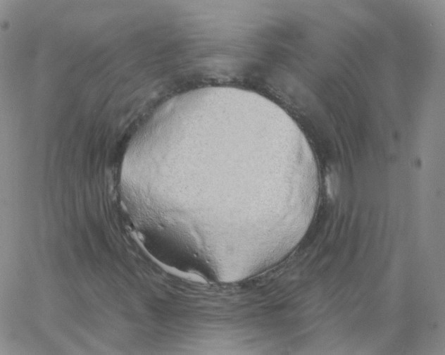 X0000062911347200602101822