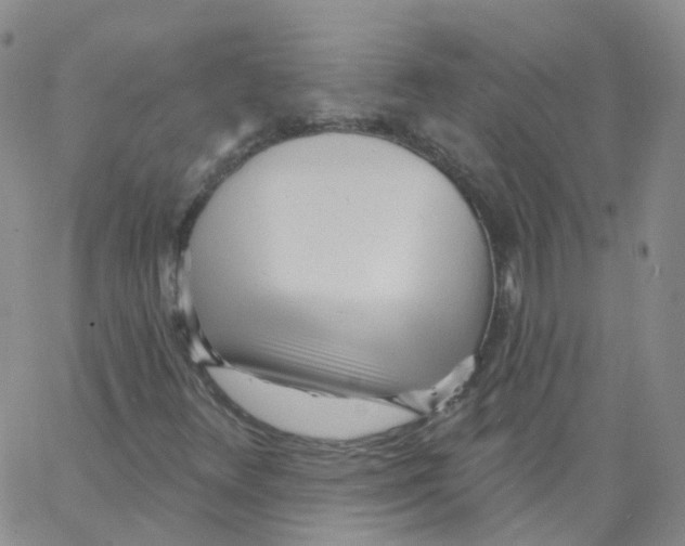 X0000062911348200602101822